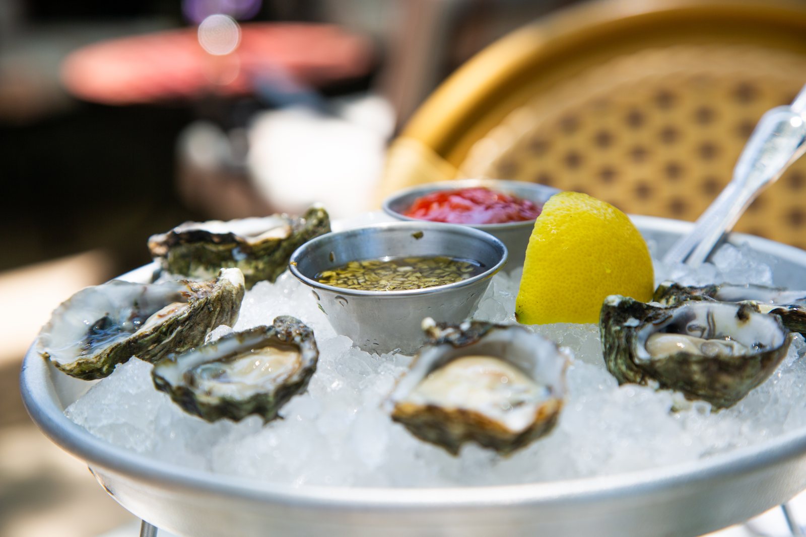 Bar Lou — oysters on ice